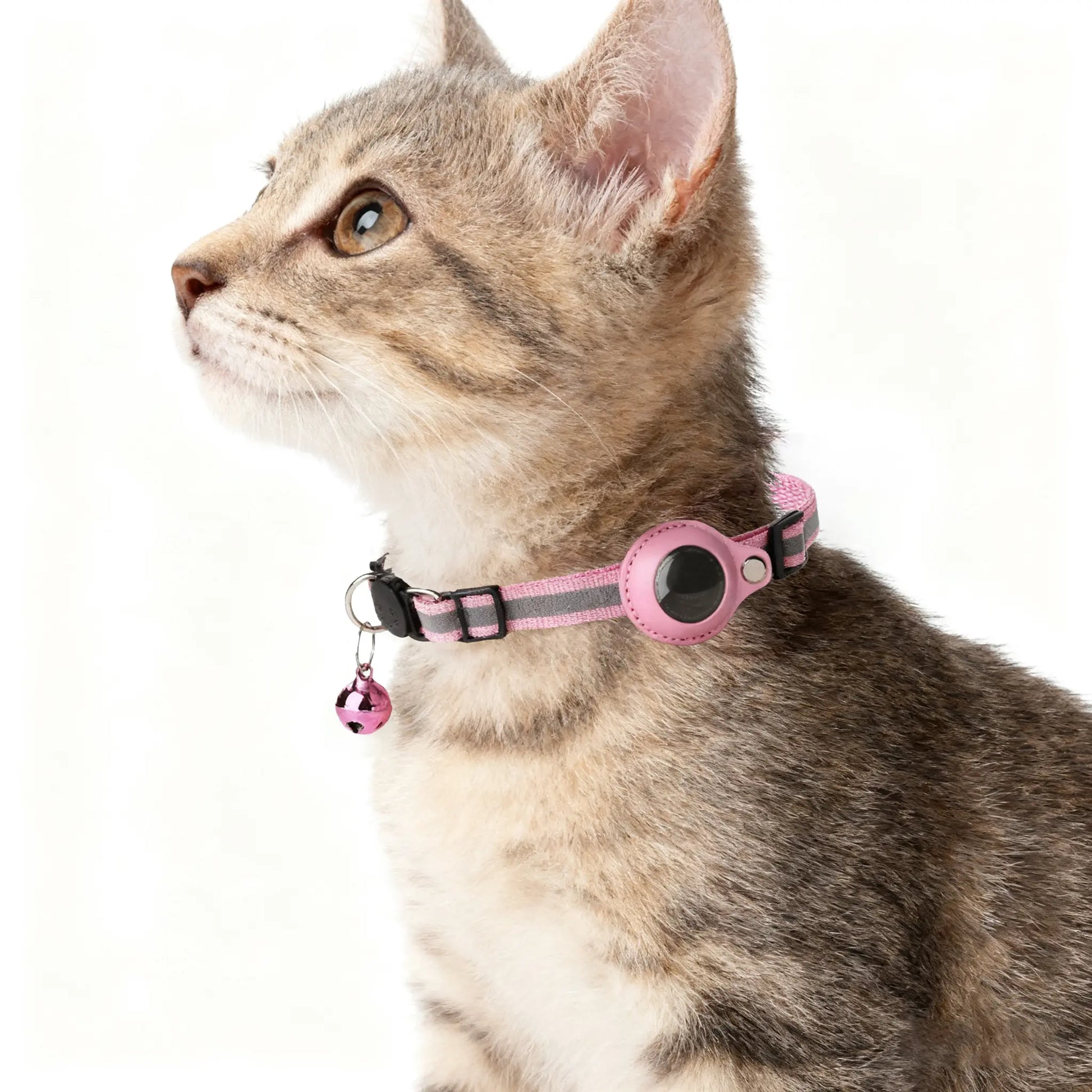 Reflective Collar Waterproof Holder Case for Airtag Air Tag Airtags Protective Cover Cat Dog Kitten Puppy Nylon Collar