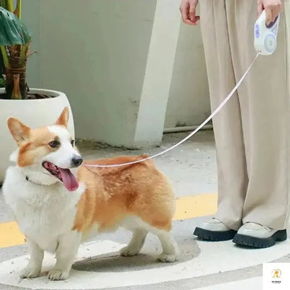 3M/5M Automatic Retractable Dog Leash with Flashlight, LED Glowing at Night Walking Leash, Durable Nylon Outdoor Leash for Dog